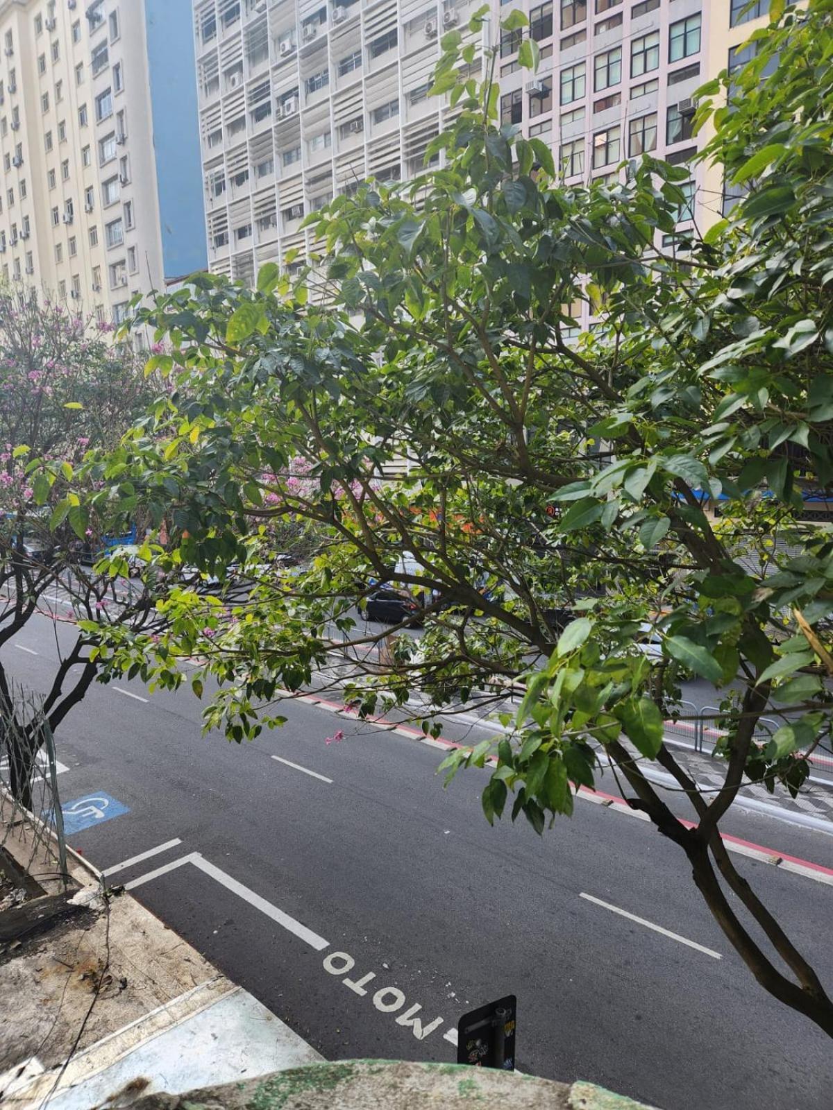 Fujima Hostel São Paulo Eksteriør bilde
